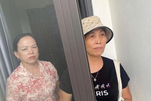 Trại lợn gây ô nhiễm bên sông Cà Lồ, người dân không dám mở cửa nhà