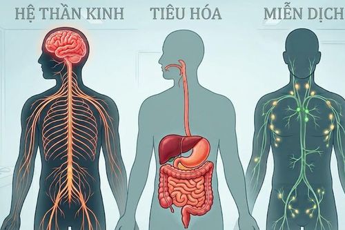 Ảnh hưởng của ô nhiễm thủy ngân với sức khỏe con người