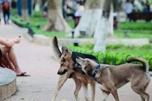 Từ đầu tháng 8/2026, những chính sách mới nổi bật nào bắt đầu được áp dụng?
