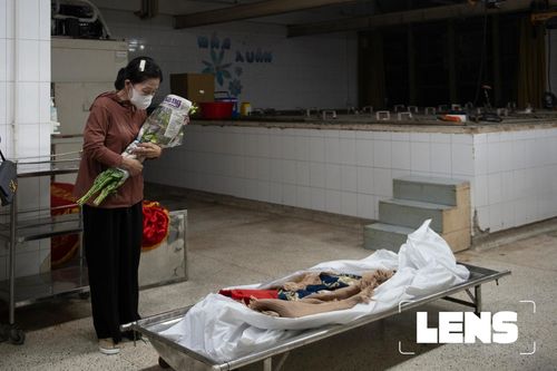Hành trình của những người hiến xác tại ĐH Y Dược TP.HCM