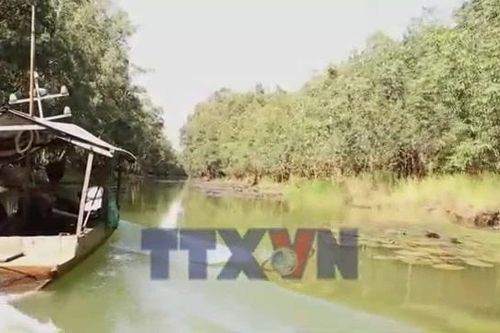 Trải nghiệm Tràm Chim - Chạm vào nhịp sống vùng đất ngập nước