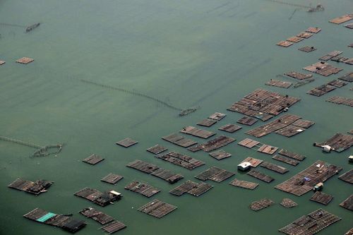 TP Hồ Chí Minh: Tăng cường kiểm tra toàn diện hoạt động nhà hàng nổi tại Làng bè Gò Găng
