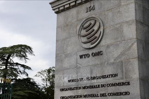 WTO: Cơ hội lớn để tham gia sâu hơn vào chuỗi giá trị toàn cầu