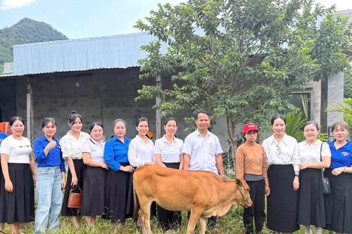 Đa dạng giải pháp giảm nghèo bền vững