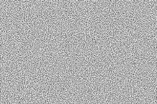 Công nghệ Ghost Font: Giải pháp bảo mật bằng chuyển động thách thức trí tuệ nhân tạo