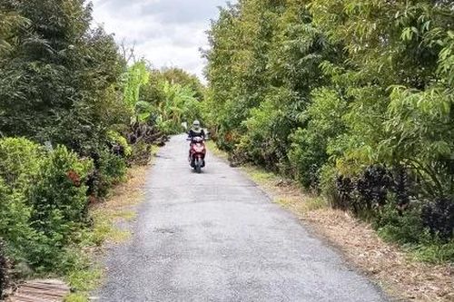 Đồng Tháp: Triển khai phân bổ ngân sách thực hiện các chương trình mục tiêu quốc gia