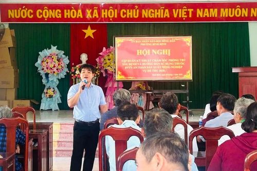 Phường Bình Định tập huấn kỹ thuật chăm sóc cây trồng và sử dụng thuốc bảo vệ thực vật an toàn