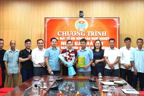 Võ Lao ra mắt mô hình chăn nuôi gà thả vườn, giải ngân 1 tỷ đồng Quỹ Hỗ trợ nông dân