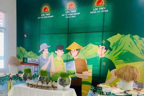 Cánh đồng mẫu lớn - hướng đi hiện đại ở Tánh Linh
