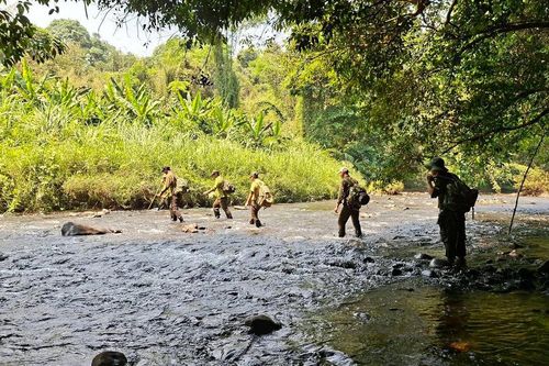 Lâm Đồng quyết tâm giữ rừng, không để phát sinh 'điểm nóng'