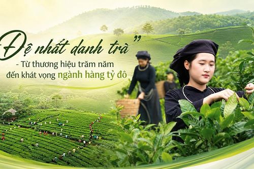 'Đệ nhất danh trà' - Từ thương hiệu trăm năm đến khát vọng ngành hàng tỷ đô (Bài 2)