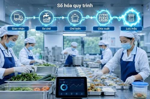 Hà Nội: Quản lý bếp ăn bán trú bằng ứng dụng số từ năm học 2026 - 2027