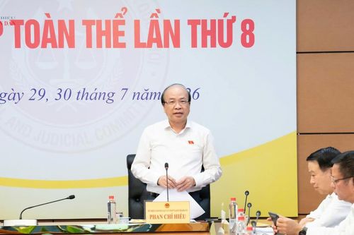 Thẩm tra dự án Luật sửa đổi, bổ sung một số điều của Luật Hải quan