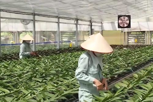 Hà Nội thúc đẩy chuyển đổi xanh, nông nghiệp đa giá trị