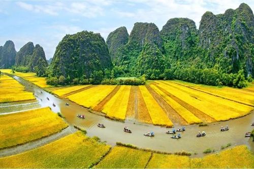Ninh Bình tăng tốc chuyển đổi số, hướng tới nhóm dẫn đầu cả nước