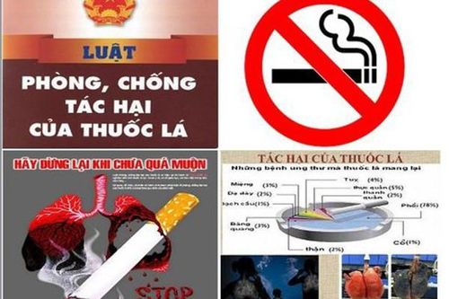 Sửa đổi Luật Phòng, chống tác hại của thuốc lá: Đề xuất bãi bỏ nhiều thủ tục hành chính