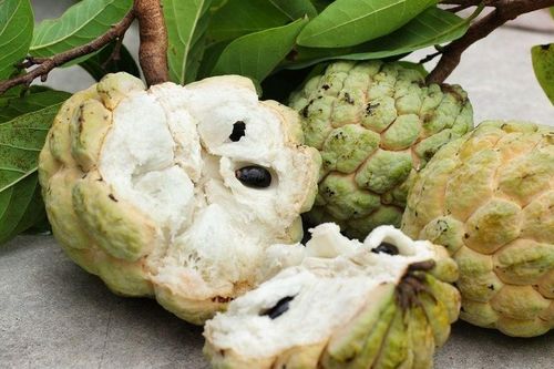 Na đang vào mùa: 4 nhóm người nên ăn, người bị đái tháo đường cần lưu ý điều này