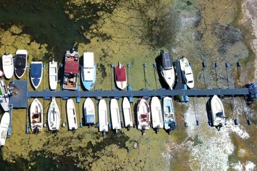 Sông Danube cạn trơ đáy vì hạn hán lịch sử ở châu Âu