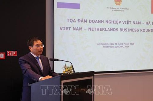 Còn nhiều dư địa mở rộng hợp tác Việt Nam – Hà Lan trong các lĩnh vực có tính bổ trợ cao