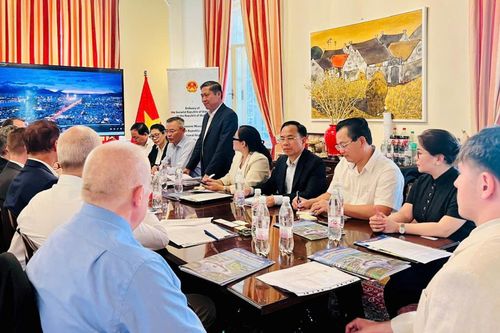 Thúc đẩy doanh nghiệp, nhà đầu tư Áo đến với Đà Nẵng