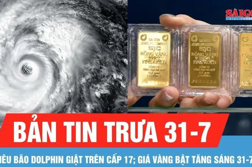 Bản tin trưa 31-7: Siêu bão Dolphin giật trên cấp 17; Giá vàng bật tăng sáng 31-7