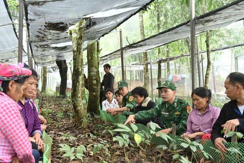 Giảm nghèo thông tin mở lối phát triển sinh kế bền vững ở Tả Lèng