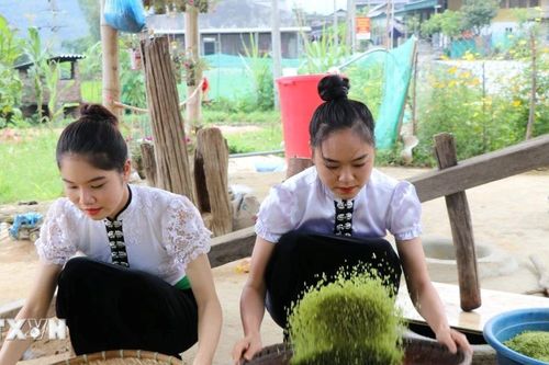 Lào Cai sắp tổ chức Lễ hội Cốm 'Hương sắc mùa thu Tú Lệ' năm 2026