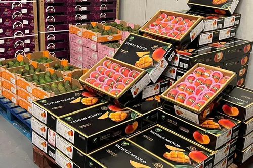 Xoài Đài Loan có giá tới 3 triệu đồng/kg vẫn 'cháy hàng' ở châu Âu
