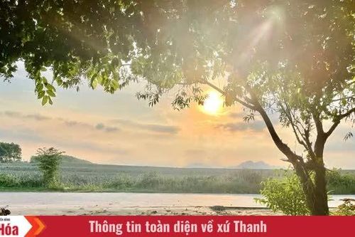 Mùi nắng, mùi mưa