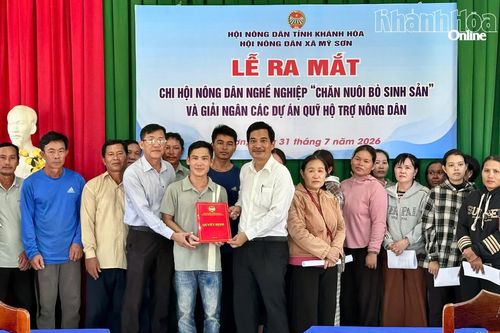 Xã Mỹ Sơn ra mắt Chi hội Nông dân nghề nghiệp chăn nuôi bò sinh sản