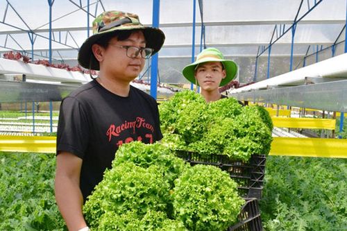 Hướng đến chuỗi giá trị đa tầng trong kinh tế hợp tác