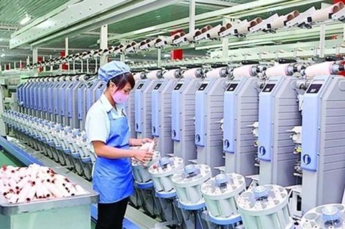 Dệt may Thành Công: Lợi nhuận hụt hơi, cổ phiếu rơi về đáy gần 6 năm