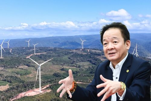 Dự án điện gió lớn nhất của T&T Group đạt doanh thu 36,5 triệu USD sau 7 tháng