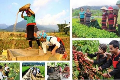 Xã Thuận Hạnh hỗ trợ phát triển sản xuất, nâng cao thu nhập cho đồng bào dân tộc thiểu số