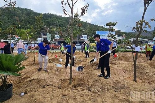 Hành trình xanh trong phát triển bền vững tại Quy Nhơn