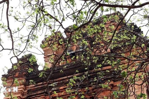 Tháp Nhạn Đắk Lắk - Tháp cổ cất giữ nền văn hóa Chăm đặc sắc