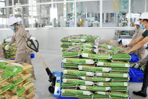 Doanh thu quý II của Vinaseed giảm gần 25%, hàng tồn kho vượt 1.000 tỷ đồng