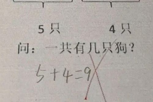 Bài toán '5 + 4 = 9' bị cô giáo gạch sai, đán án chính xác khiến nhiều người bất ngờ