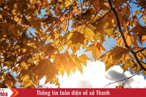Khúc giao mùa