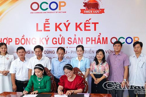 Lực đẩy tăng trưởng bền vững
