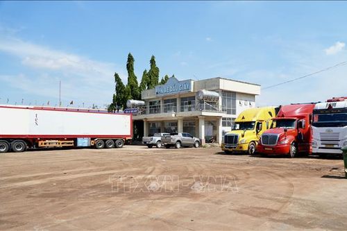 Từ 25 - 30% xe đầu kéo phải nằm bãi vì thiếu tài xế