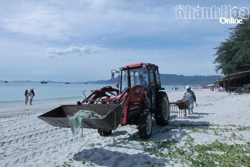Phường Đông Ninh Hòa: Chú trọng giữ gìn môi trường biển