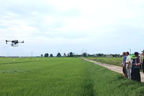 Đổi mới tư duy sản xuất để giữ vụ mùa thắng lợi