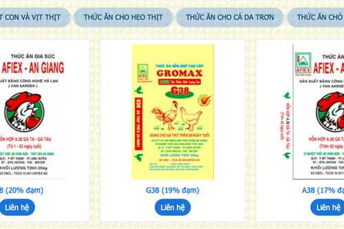 Afiex (AFX) báo lãi quý II tăng gần 40%, mạnh tay rót hơn 220 tỷ đồng vào cổ phiếu VIC