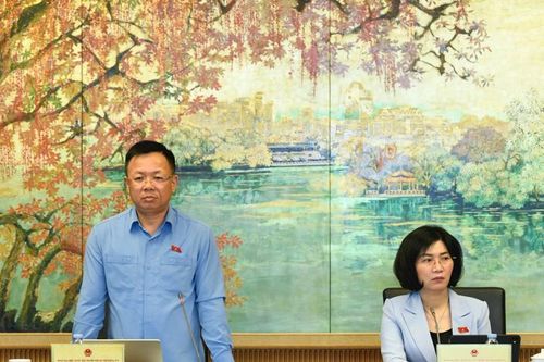 Đưa 58 ngành nghề ra khỏi danh mục đầu tư kinh doanh có điều kiện, ĐBQH đề nghị đánh giá kỹ năng lực hậu kiểm