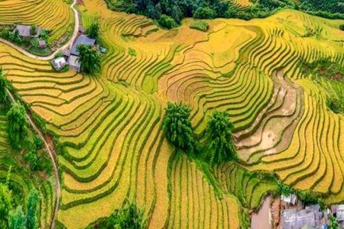 Lào Cai: Cho vay ưu đãi để khơi thông nguồn lực phát triển du lịch cộng đồng
