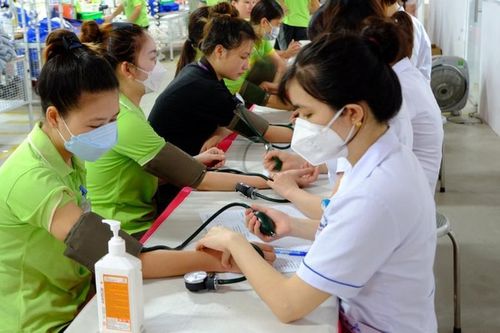 Nghị định mới siết trách nhiệm doanh nghiệp:Không khám sức khỏe cho lao động, trốn đóng BHXH đều bị phạt nặng