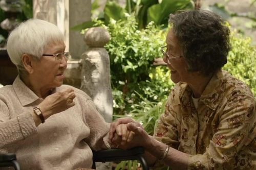 'Bức thư tình' ăn khách nhất lịch sử phòng vé Trung Quốc 'đổ bộ' phòng vé Việt