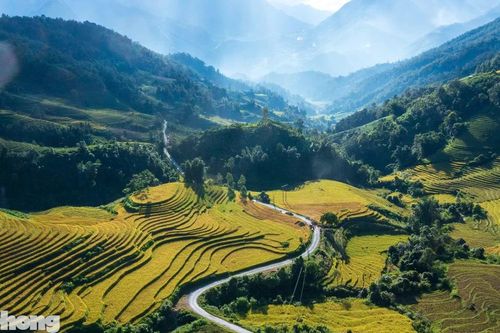 Ruộng bậc thang Tây Bắc mùa lúa chín đẹp như tranh