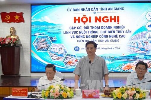 Chủ tịch An Giang: Không đùn đẩy trách nhiệm với doanh nghiệp